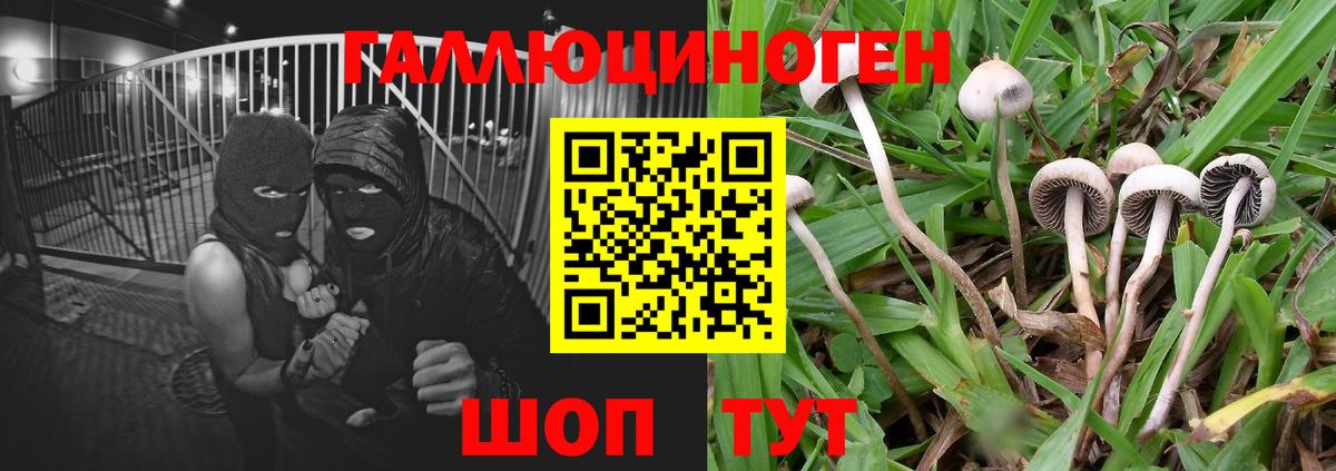 Псилоцибиновые грибы Magic Shrooms Волгодонск